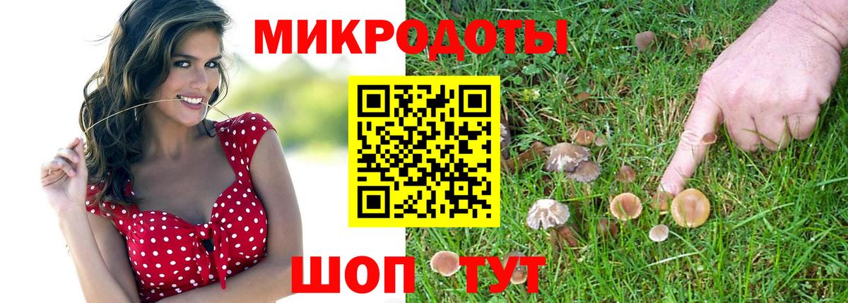 Галлюциногенные грибы Magic Shrooms  Вход с VPN  Черногорск  Галлюциногенные грибы мухоморы 