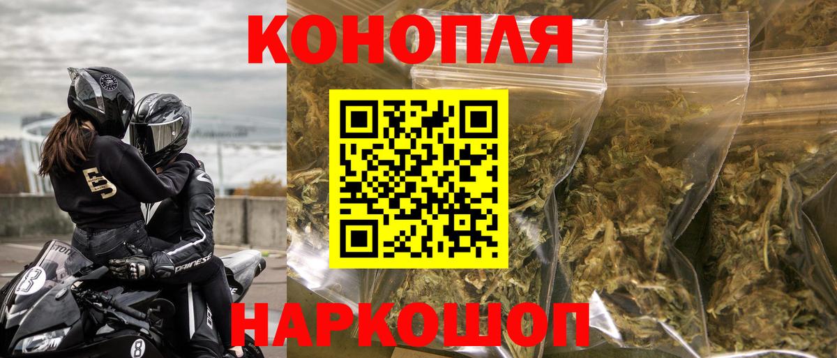 Конопля OG Kush Черногорск